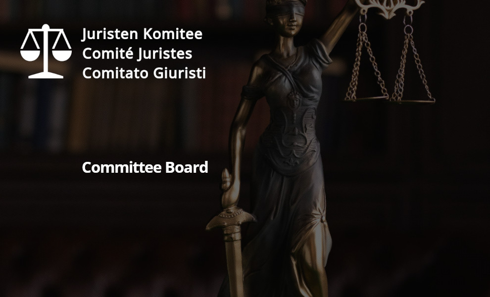 Rechtsanalyse «Besondere Lage» - Juristen Komitee